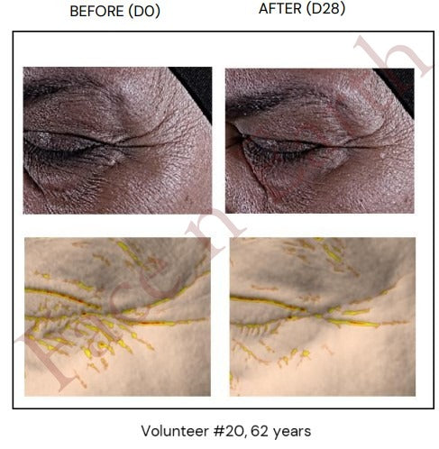 New All-in-One Serum Introductory Price