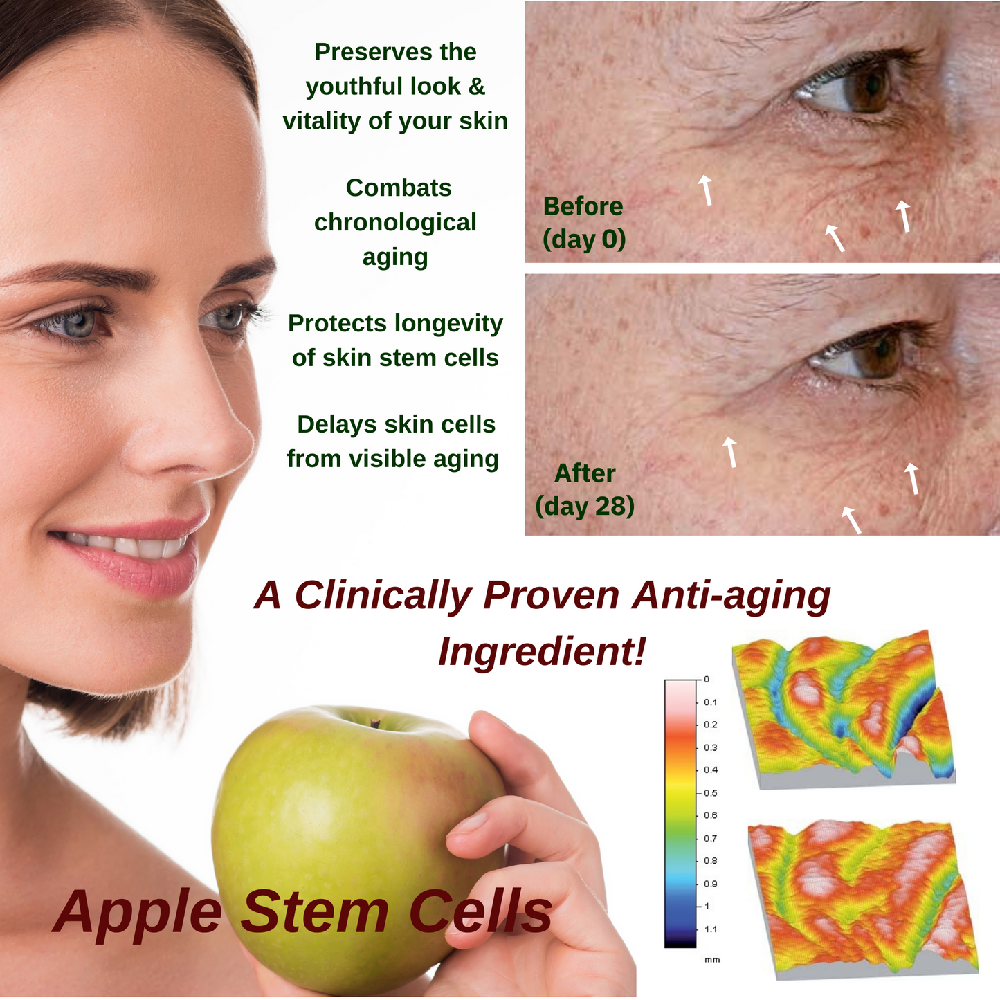 3x Stem Cell Recovery Elixir