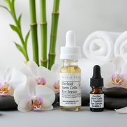 Orchid Stem Cells & Peptides Eye Serum - Facenearth